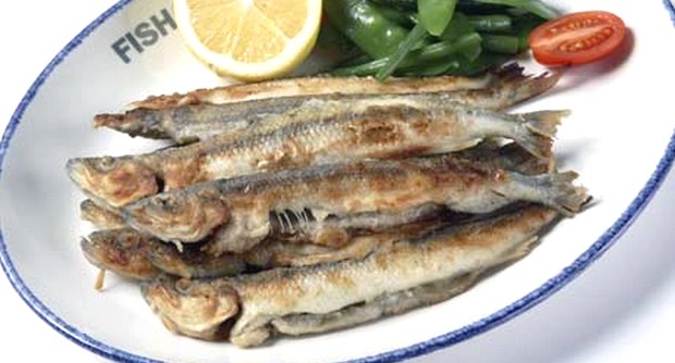 Специальное предложение для ПМЭФ-2013 от "Фиш Хауса" на Гривцова. Рестораны Санкт-Петербурга