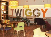 Twiggy